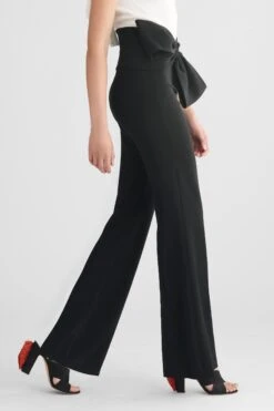 Whitley Pant - Black 6 Whitley Pant - Black -SACHIN & BABI Clothes R21P04 SIDE